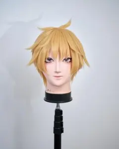✠朝倉 シン ウィッグ✠セット済 SAKAMOTODAYS - メルカリ