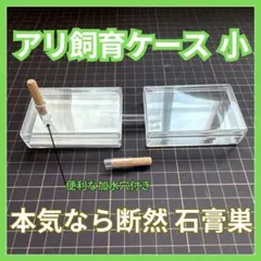 ケンタロス様 リクエスト 2点 まとめ商品
