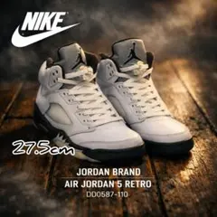AIR JORDAN 5 RETRO DD0587-110のサムネイル