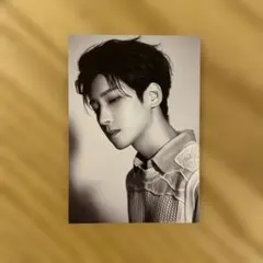 SEVENTEEN your choice ウォヌ