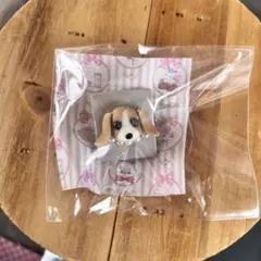 さざなみ様 リクエスト 2点 まとめ商品