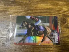 ★レア★サイン入り　チェルヴィニア　サラブレッドホースコレクション3R