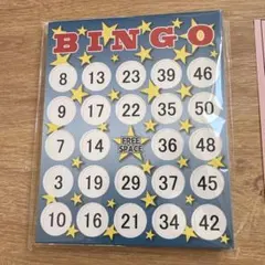 マジックビンゴ50枚入