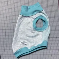 Item thumbnail for item 68dfbced-bd4c-4c3e-8e37-5fcea7152297