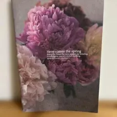 美品★ハグオーワー　カタログ（その2）