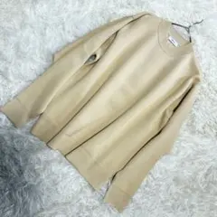 【未使用級】シップス（M）長袖 Tシャツ カットソー カジュアル クルーネックのサムネイル