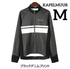 Item thumbnail for item 04e3bbcb-333a-455e-bb7c-0b908440c085