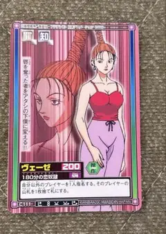 ヴェーゼ トレーディングカード HUNTER×HUNTER 幻影旅団