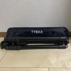 Item thumbnail for item 8c3a7566-c93b-4181-81ab-3f615432a360