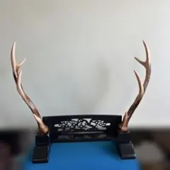 大幅値下げ！鹿の角オブジェ リーフ 国産 鹿の角 オブジェ Mサイズ 2250001963615 1個（直送品