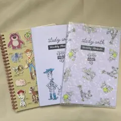 Item thumbnail for item f786a59d-fdb1-4382-80fb-80ec52265060