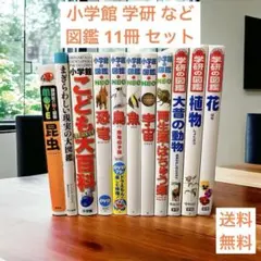 小学館 学研 など 図鑑 11冊 セット