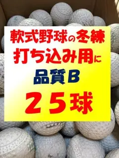 Item thumbnail for item 80062bb1-de91-4c1f-813d-2431dad796a5