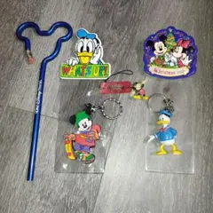 ディズニーランド　期間限定商品　パスポート入れ等　6点
