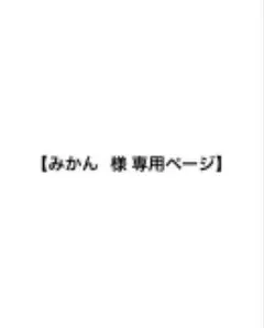 【みかん 様 専用ページ】