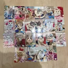 猫カフェmocha 三宮店 2026 夏トレカ コンプリートセット - メルカリ