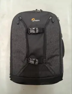 2026年最新】lowepro カメラバッグ 350の人気アイテム - メルカリ