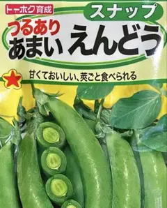 にゃん太様 リクエスト 3点 まとめ商品