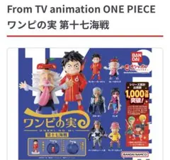 ワンピの実　第十七海戦　モンキー・D・ルフィ