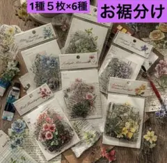 コラージュ素材 PETステッカー フラワー&英字フレーム装飾デザイン 30枚