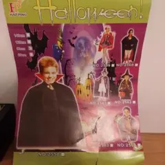 Item thumbnail for item 7343a586-c633-4432-be66-43f2a56c652f