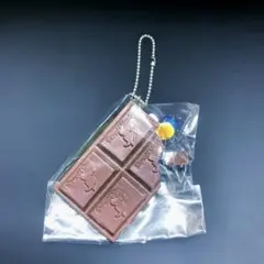 CANDY COLOR TICKET カンカラチケット バニラアイス チョコ - メルカリ