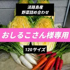 淡路産野菜詰め合わせ120サイズ