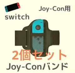 Nintendo Switch Joy-Conバンド　レッグバンド　2個セット