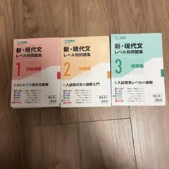 新・現代文 レベル別問題集 1-3巻セット