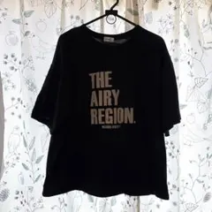週末限定価格　着用回数1回　myuwa 4L Tシャツ