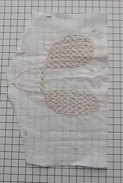 minaperhonen☆plover　大きい鳥　レア!　希少！