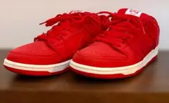 Girls Don’t Cry × Nike SB Dunk Low 27.5