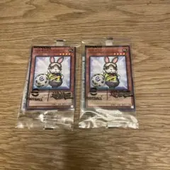 遊戯王 遊戯王OCG デュエルモンスターズ