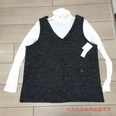 Item thumbnail for item 2b843400-e05a-4a47-a862-45f3942851a2