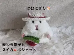 はむにぎり 麦わら帽子 スイカポシェット ぬい活 ぬい服 ハンドメイドのサムネイル