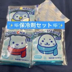 ✨保冷剤セット✨