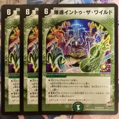 2026年最新】爆進イントゥ・ザ・ワイルド プロモの人気アイテム - メルカリ