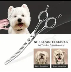 Item thumbnail for item bf3203fb-0698-4a33-9d63-27c00121d75f