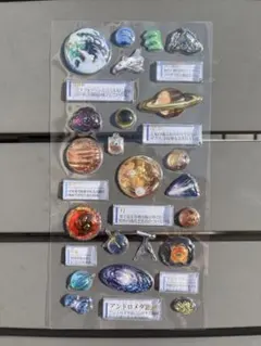 大人図鑑　ボンボンドロップシール