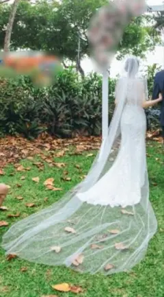PRONOVIAS ウェディングベール3m