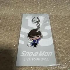 【新品】SnowMan LIVETOUR アクリルキーホルダー 渡辺翔太