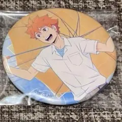 ハイキュー 雨上がりの帰り道 キャラバッチコレクション 日向翔陽