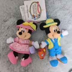 ディズニー☆ミッキー&ミニーバケーションパッケージぬいぐるみ
