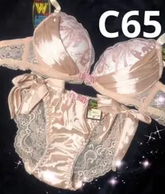 C65 トゥインクルサテンブラジャー&フルバックショーツ