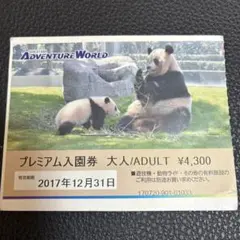 アドベンチャーワールド　パンダ　使用済入園券 2026年最新】アドベンチャーワールド使用済みチケットの人気アイテム
