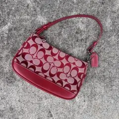 Coach Hampton Demi Pouch Mini Handbag 00