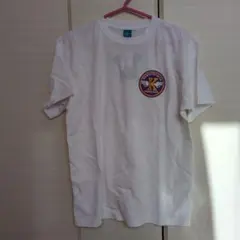 Item thumbnail for item 50667f4f-96b3-4229-9a13-e46836e0bbd9