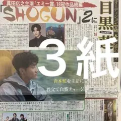 SnowMan 岩本照　目黒蓮　11.19付スポーツ新聞３紙セット