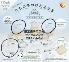 うちの子のけだまだま 限定 チワワ白 ポメラニアン 三角たれみみ