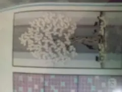 Item thumbnail for item dcf15774-864a-409c-a36c-d98e9eed4712